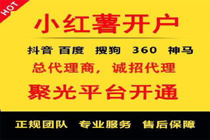 大型企业SEM外包实战案例